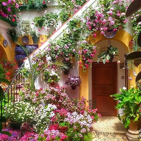 Daire Casa Naranjo Cordoba