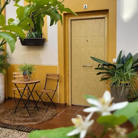 Casa Naranjo Apartment Córdoba